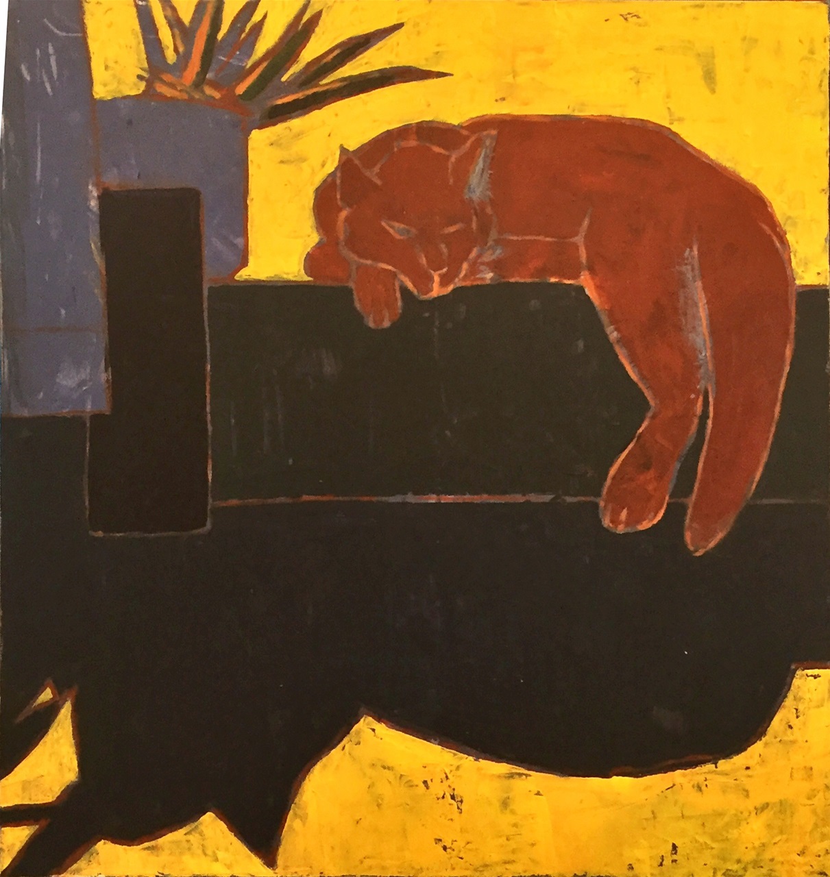 Rød kat