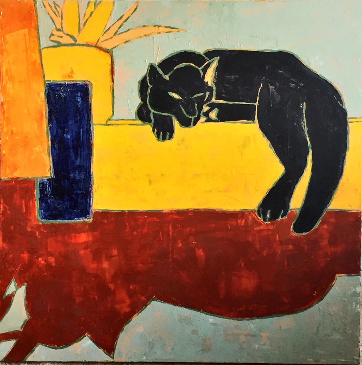 Sort kat